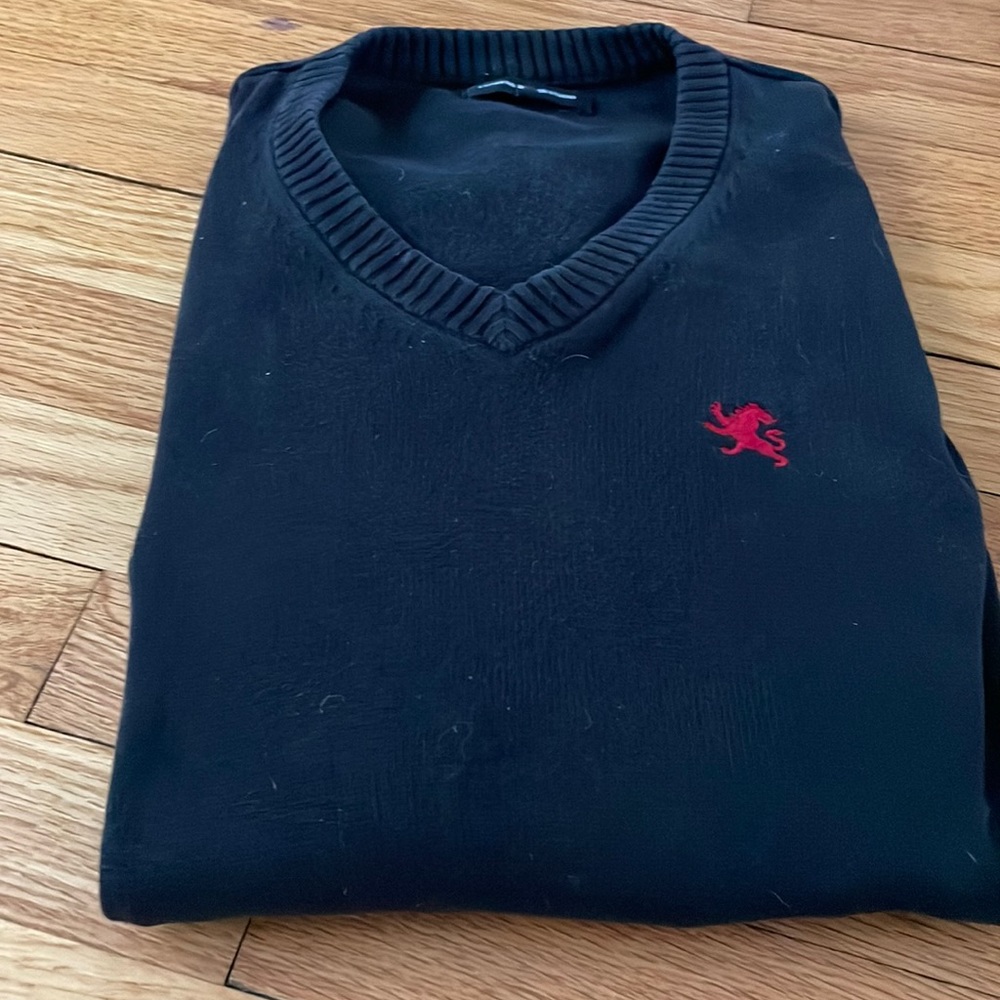 Express mens sweater